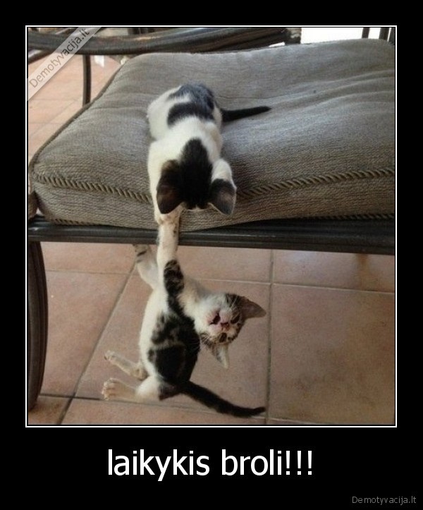 laikykis broli!!! - 