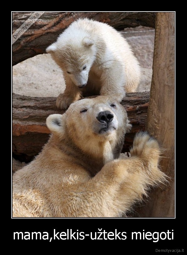 mama,kelkis-užteks miegoti - 