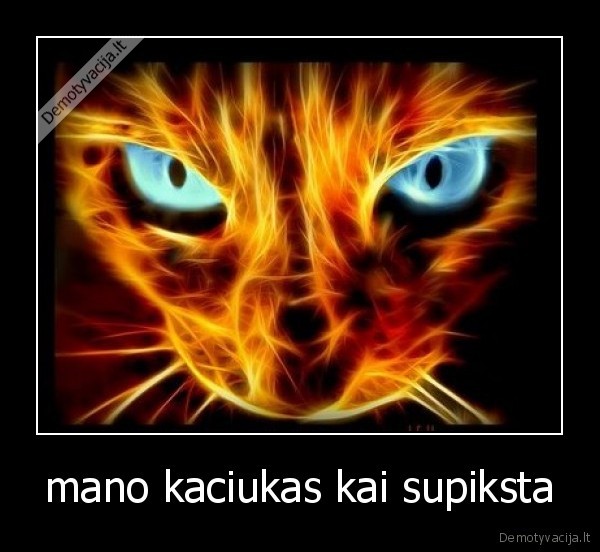 mano kaciukas kai supiksta - 