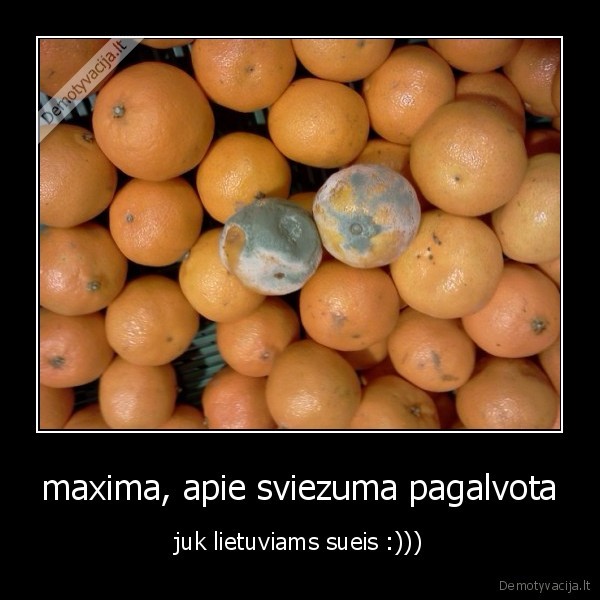 maxima, apie sviezuma pagalvota - juk lietuviams sueis :)))