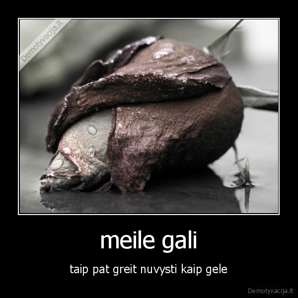 meile gali - taip pat greit nuvysti kaip gele