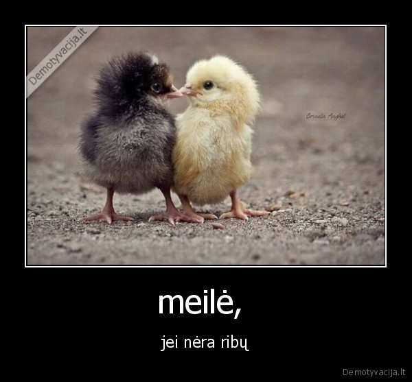 meilė,  - jei nėra ribų