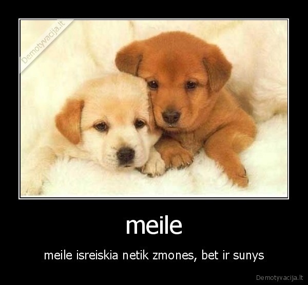 meile - meile isreiskia netik zmones, bet ir sunys