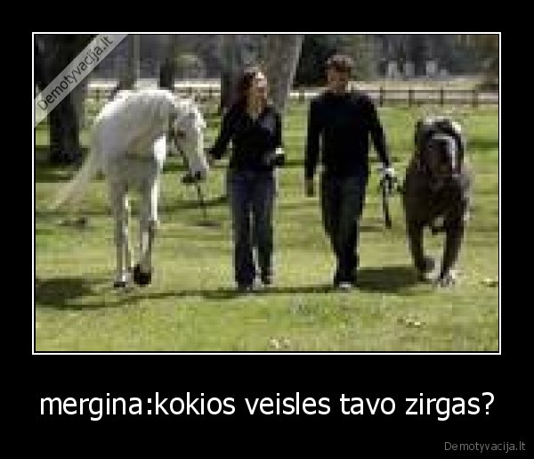 mergina:kokios veisles tavo zirgas? - 