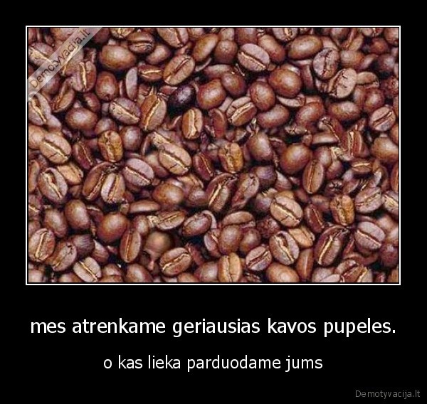 mes atrenkame geriausias kavos pupeles. - o kas lieka parduodame jums