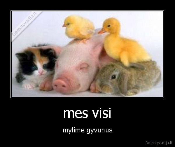 mes visi - mylime gyvunus