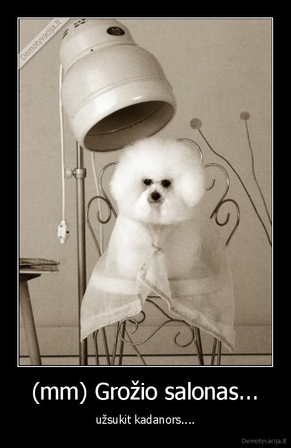 (mm) Grožio salonas... - užsukit kadanors....