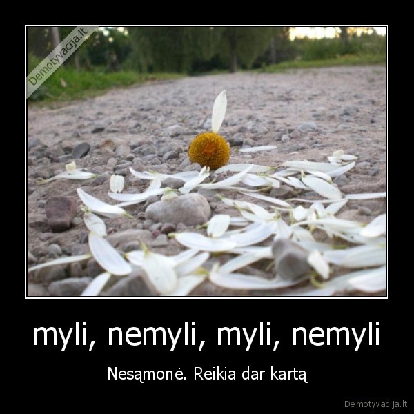 myli, nemyli, myli, nemyli - Nesąmonė. Reikia dar kartą