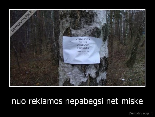 nuo reklamos nepabegsi net miske - 