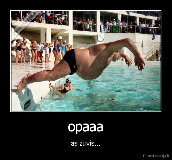 opaaa - as zuvis...