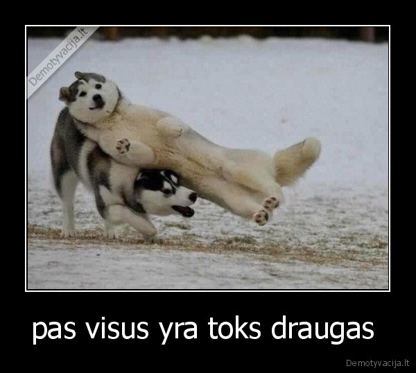 pas visus yra toks draugas  - 