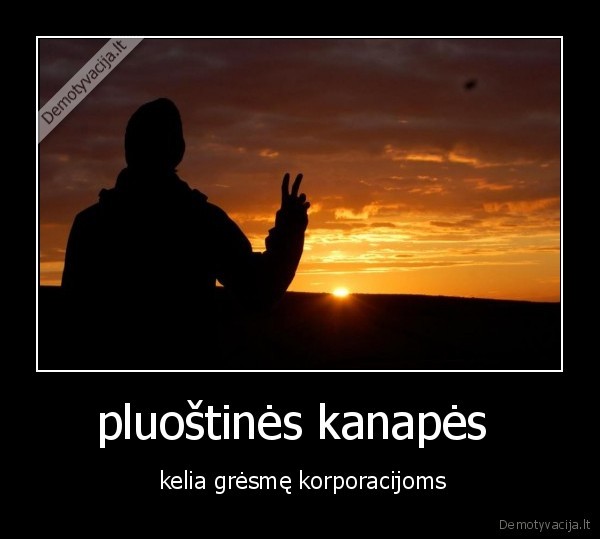 pluoštinės kanapės  -  kelia grėsmę korporacijoms