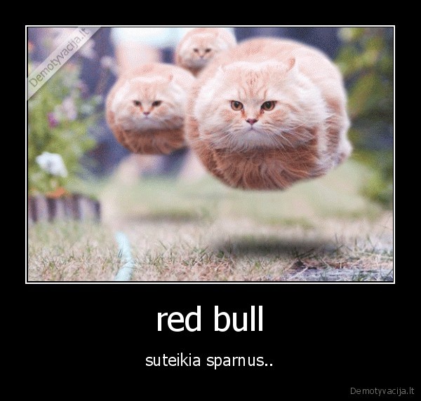 red bull - suteikia sparnus..