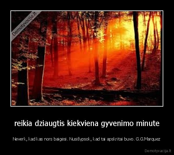 reikia dziaugtis kiekviena gyvenimo minute - Neverk, kad kas nors baigėsi. Nusišypsok, kad tai apskritai buvo. G.G.Marquez