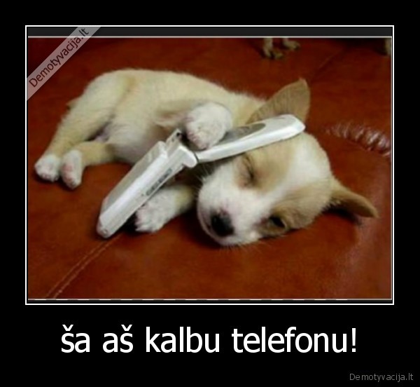 ša aš kalbu telefonu! - 