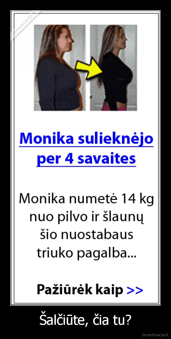 Šalčiūte, čia tu? - 