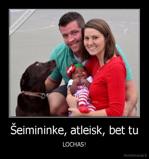 Šeimininke, atleisk, bet tu - LOCHAS!