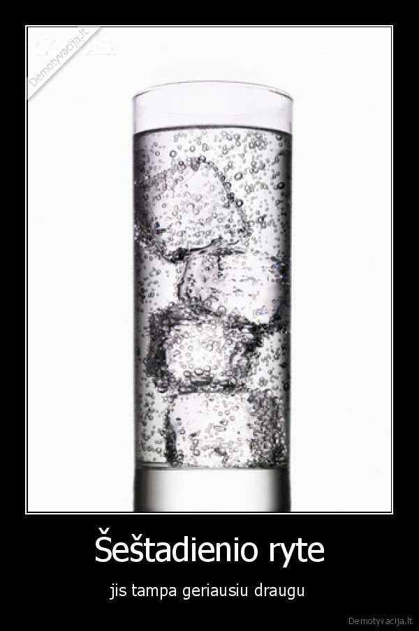 Šeštadienio ryte - jis tampa geriausiu draugu