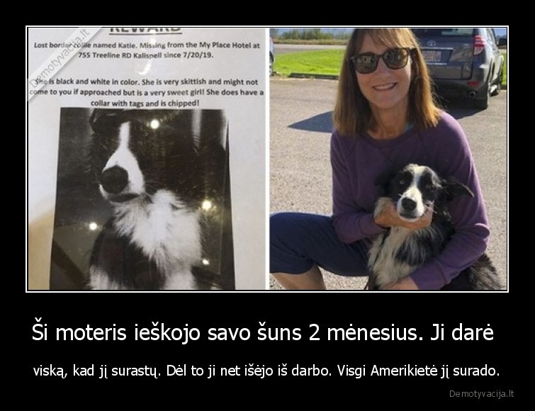 Ši moteris ieškojo savo šuns 2 mėnesius. Ji darė  - viską, kad jį surastų. Dėl to ji net išėjo iš darbo. Visgi Amerikietė jį surado.