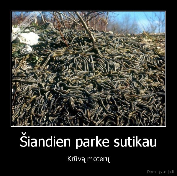 Šiandien parke sutikau - Krūvą moterų