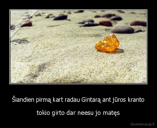 Šiandien pirmą kart radau Gintarą ant jūros kranto - tokio girto dar neesu jo matęs