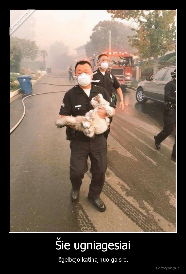 Šie ugniagesiai - išgelbėjo katiną nuo gaisro.