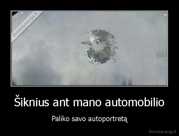 Šiknius ant mano automobilio - Paliko savo autoportretą