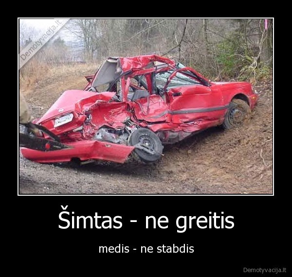 Šimtas - ne greitis - medis - ne stabdis