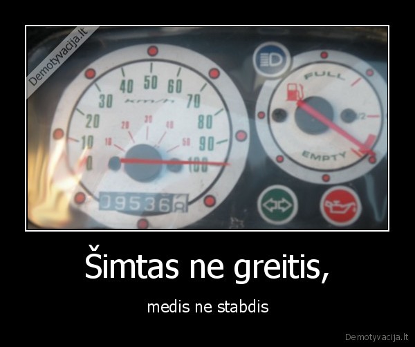 Šimtas ne greitis, - medis ne stabdis