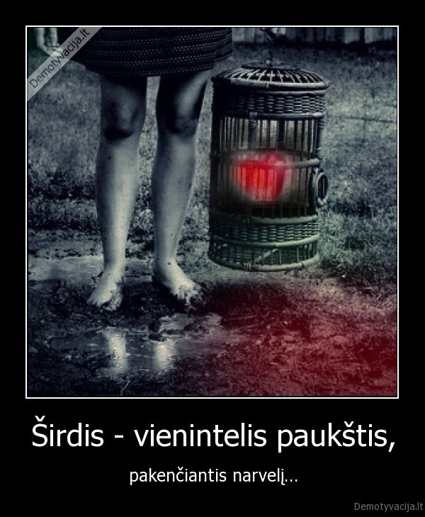 Širdis - vienintelis paukštis, - pakenčiantis narvelį...