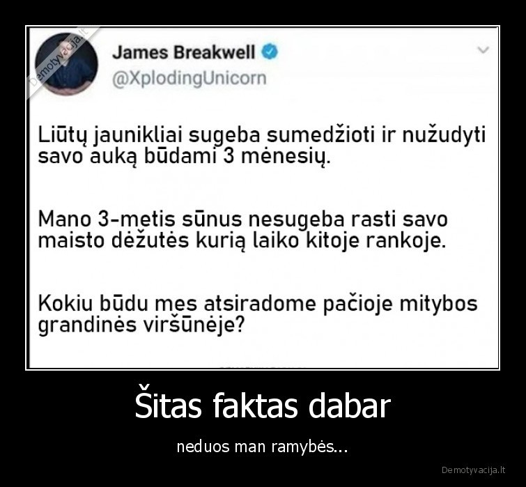 Šitas faktas dabar - neduos man ramybės...