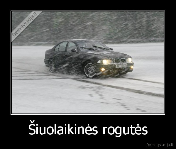 Šiuolaikinės rogutės - 