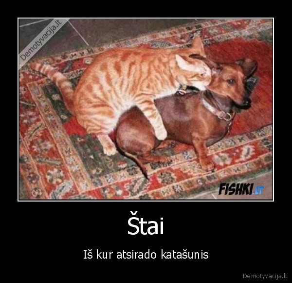 Štai - Iš kur atsirado katašunis