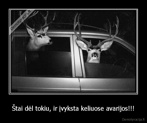 Štai dėl tokiu, ir įvyksta keliuose avarijos!!! - 