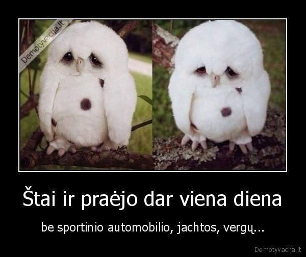 Štai ir praėjo dar viena diena - be sportinio automobilio, jachtos, vergų...