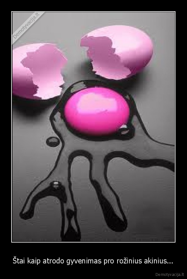 Štai kaip atrodo gyvenimas pro rožinius akinius... - 