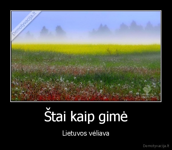 Štai kaip gimė - Lietuvos vėliava