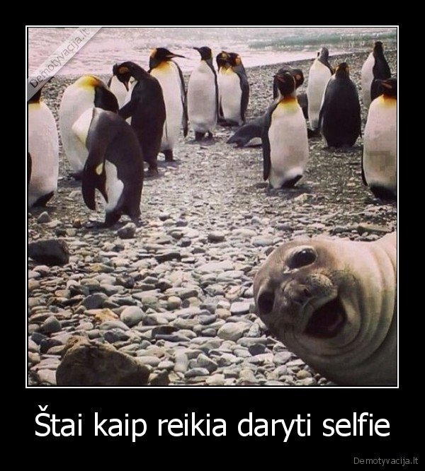 Štai kaip reikia daryti selfie - 