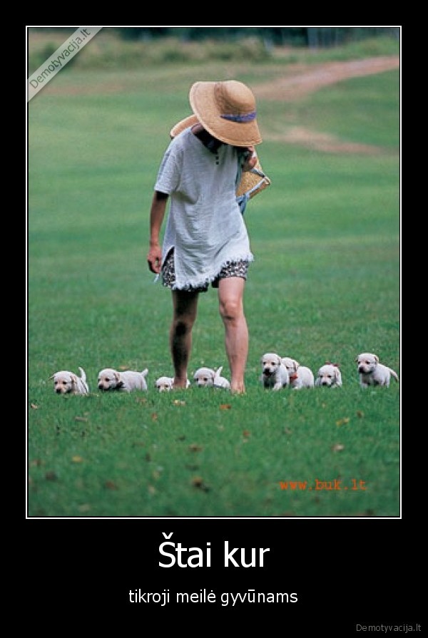 Štai kur - tikroji meilė gyvūnams