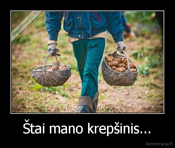 Štai mano krepšinis... - 