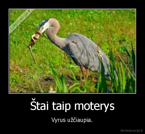 Štai taip moterys - Vyrus užčiaupia.