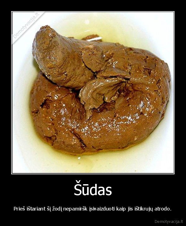 Šūdas - Prieš ištariant šį žodį nepamiršk įsivaizduoti kaip jis ištikrujų atrodo.