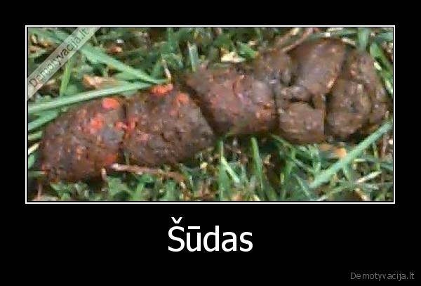 Šūdas - 