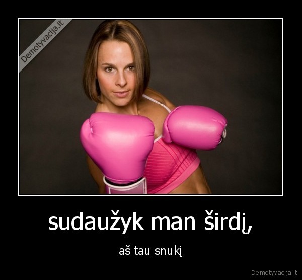 sudaužyk man širdį, - aš tau snukį