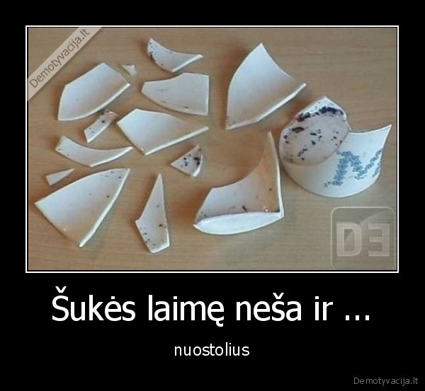 Šukės laimę neša ir ... -  nuostolius 