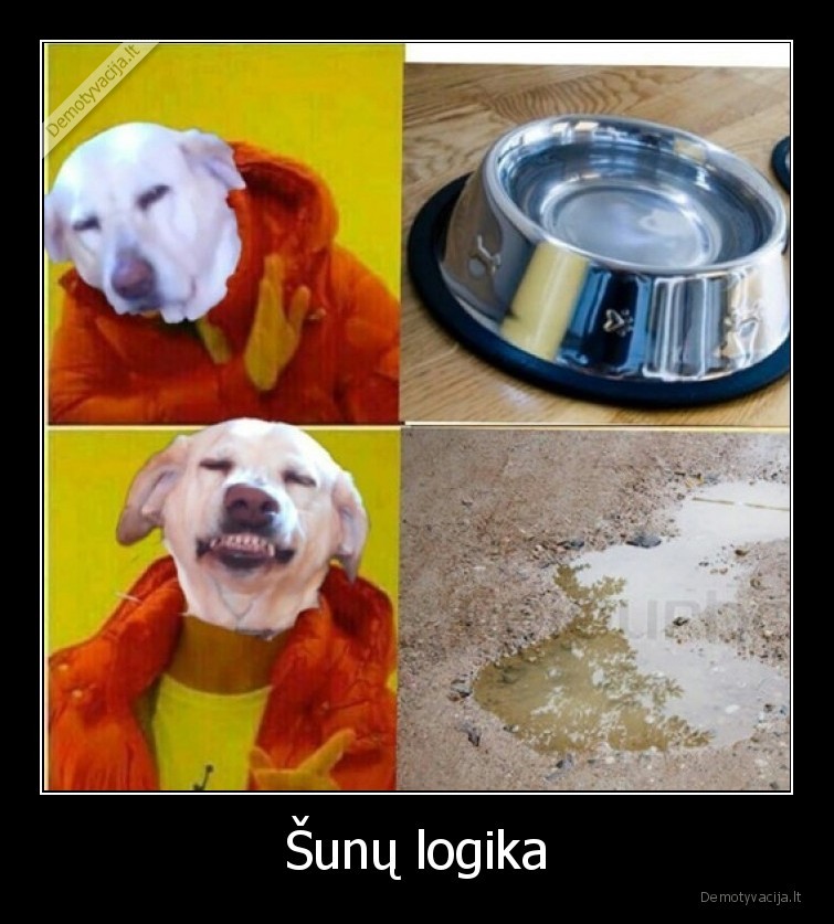 Šunų logika - 