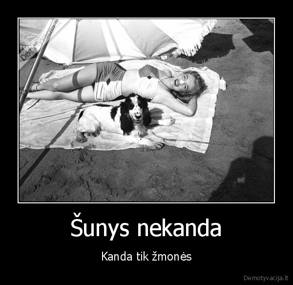 Šunys nekanda - Kanda tik žmonės