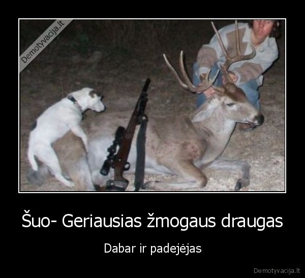 Šuo- Geriausias žmogaus draugas - Dabar ir padejėjas