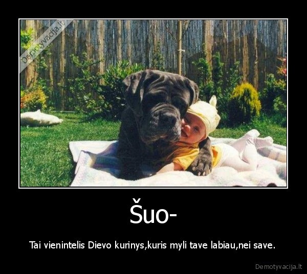 Šuo- - Tai vienintelis Dievo kurinys,kuris myli tave labiau,nei save.