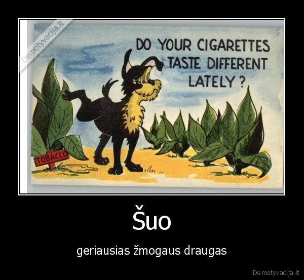 Šuo - geriausias žmogaus draugas